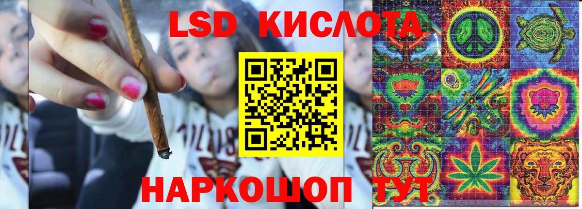 Наркотические марки 1500мкг Губкин